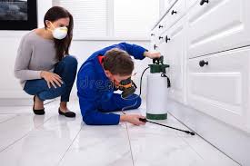 Emergency Pest Control Services in Kenosha, WI